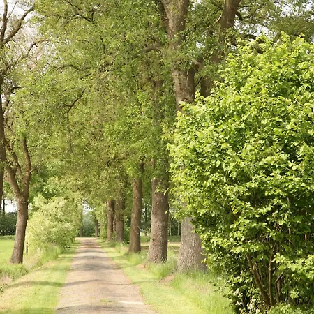 Vakantiehuis Erve Koeleman *