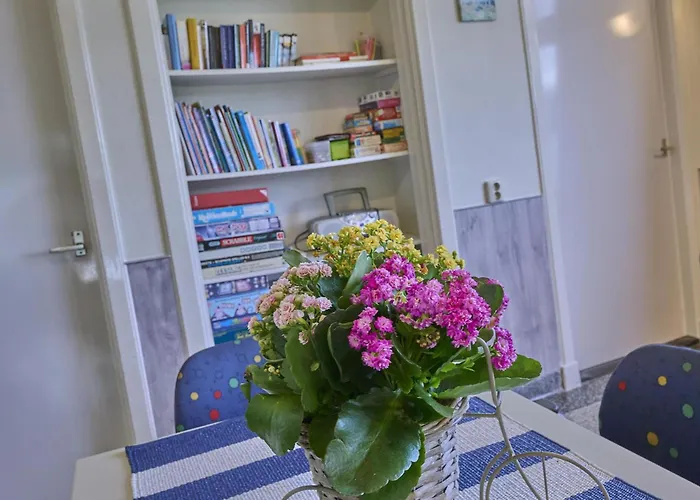 Erve Koeleman בית נופש *