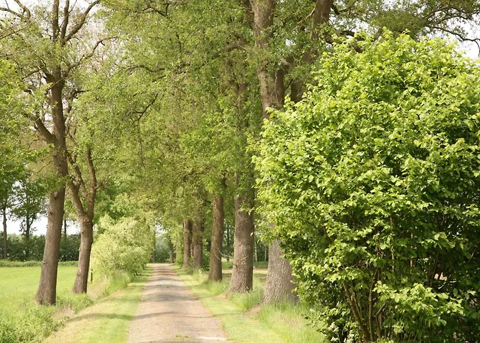 בית נופש Erve Koeleman *